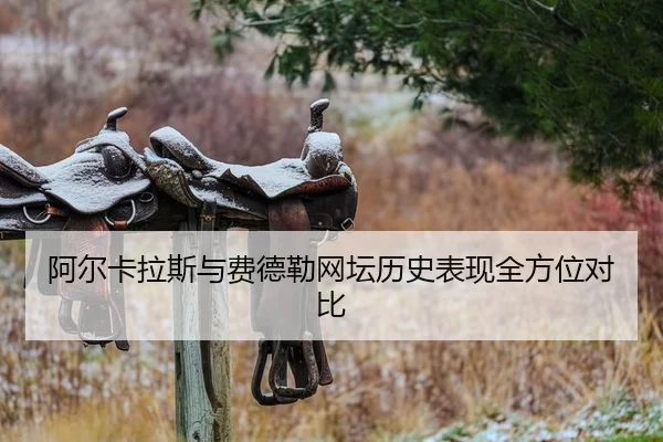 阿尔卡拉斯与费德勒网坛历史表现全方位对比